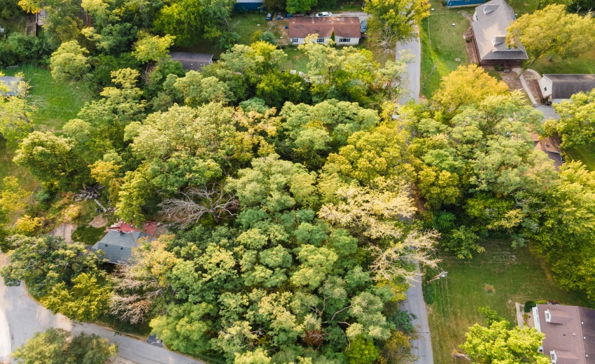 DJI_0408