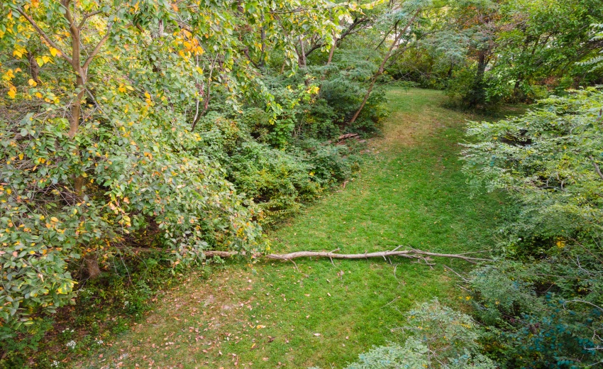 DJI_0416