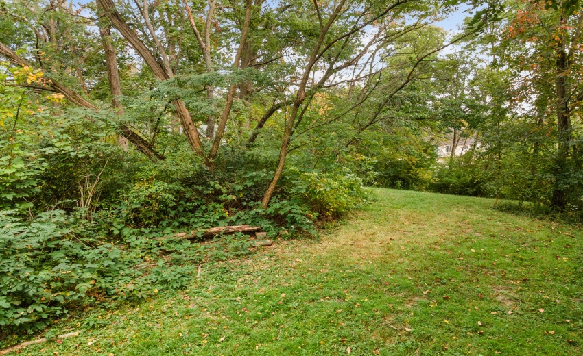 DJI_0423