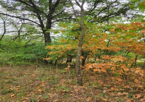 Lot 3 100, Lake Village, Indiana, ,Land,For Sale,100,NRA810895