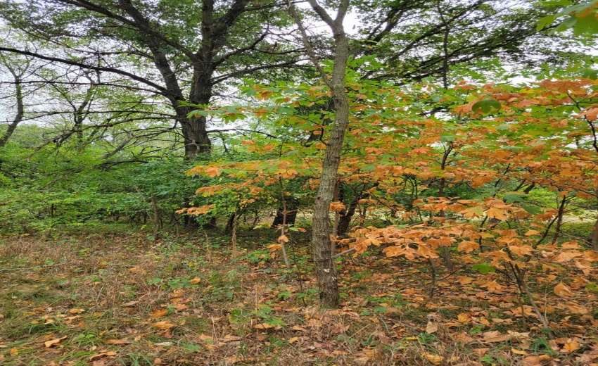 LOT 3-4