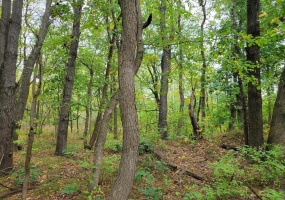LOT 1 100, Lake Village, Indiana, ,Land,For Sale,100,NRA810892