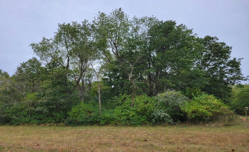 lot 1-4