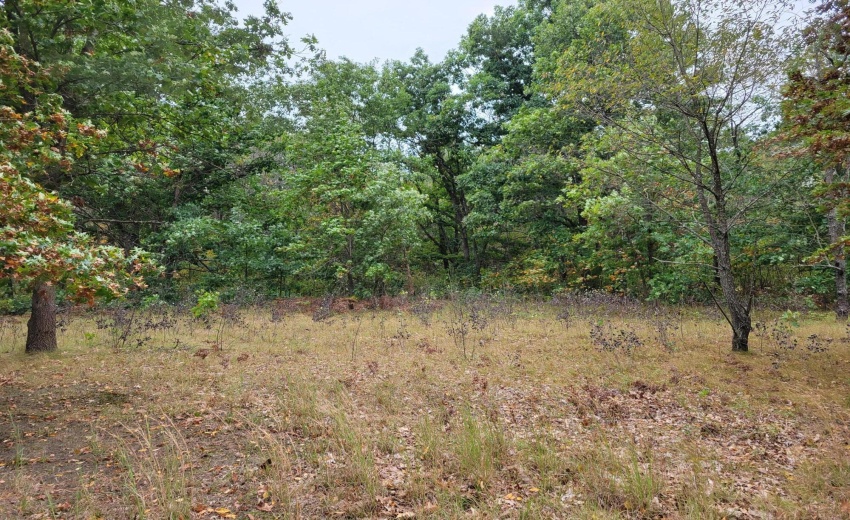 lot 1-5