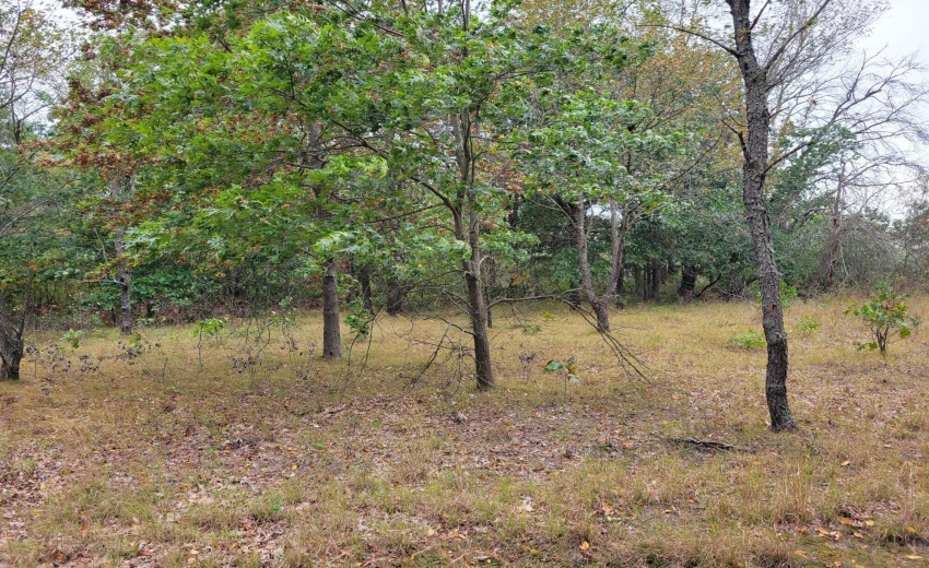 lot 1-6