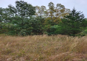 LOT 2 100, Lake Village, Indiana, ,Land,For Sale,100,NRA810893