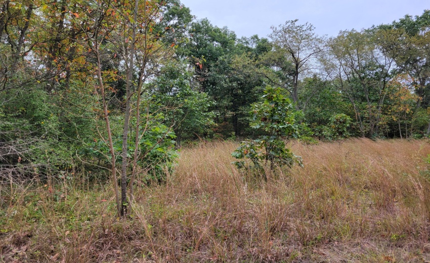 lot 2-3