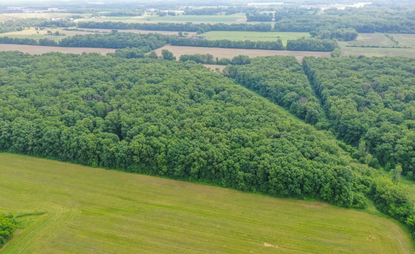 Looking Eastward