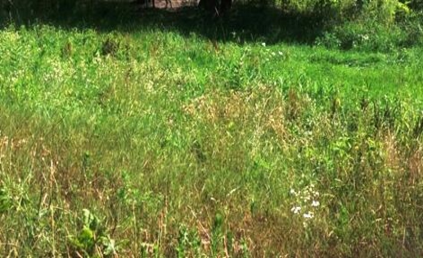 64.28 acres Chesterton pic from road