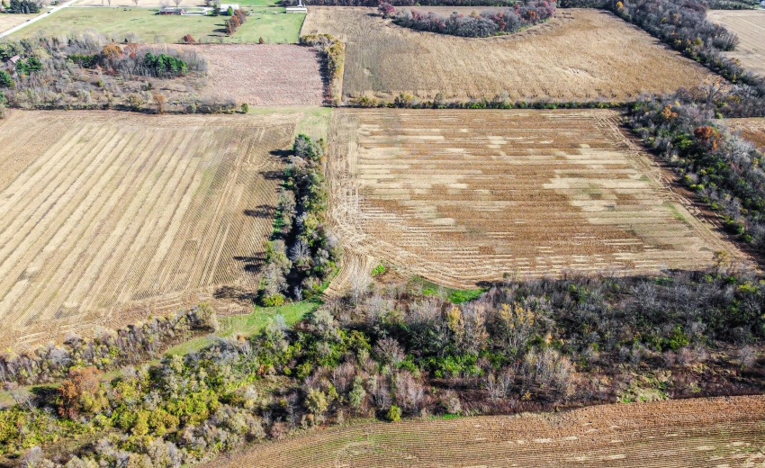 DJI_0181