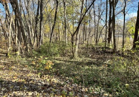 0 Hudson Boulevard, New Carlisle, Indiana, ,Land,For Sale,Hudson,NRA812859