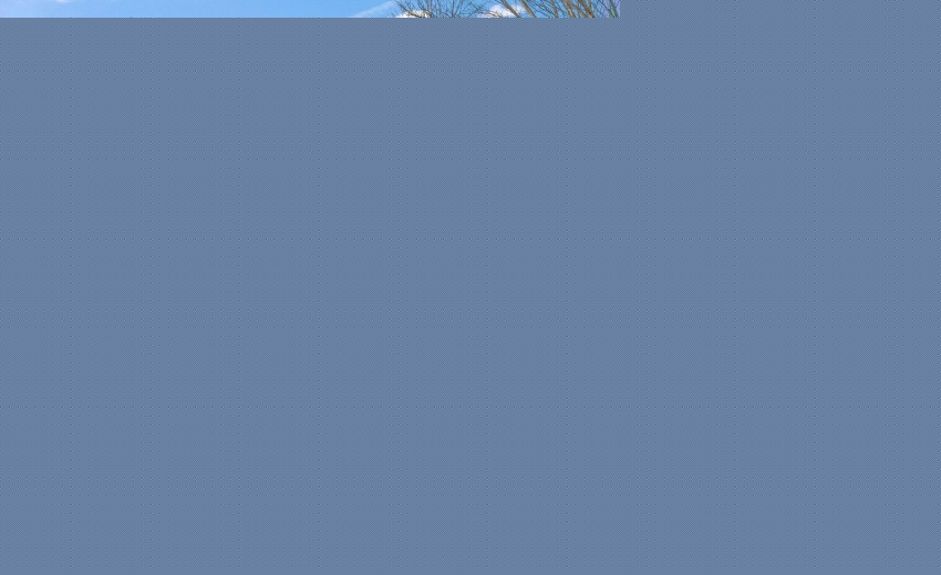 25-web-or-mls-DSC08539