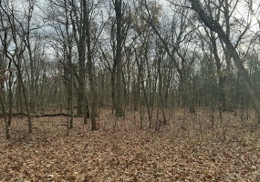 4189 County Road 200, Knox, Indiana, ,Land,For Sale,County Road 200,NRA814021 4189 County Road 200, Knox, Indiana, ,Land,For Sale,County Road 200,NRA814021