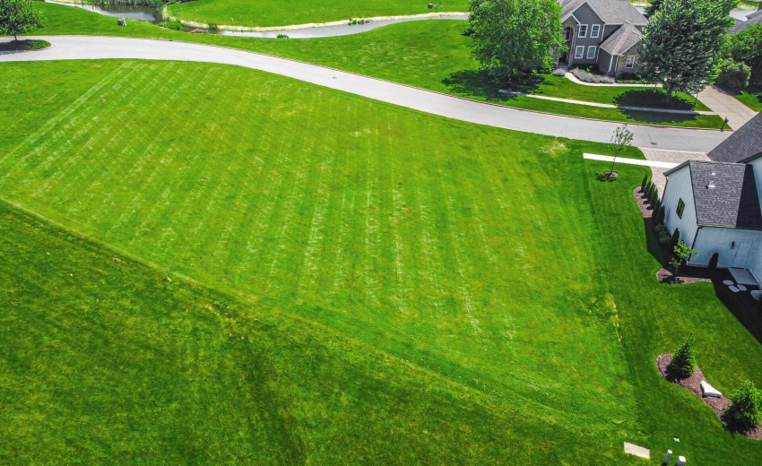 DJI_0454