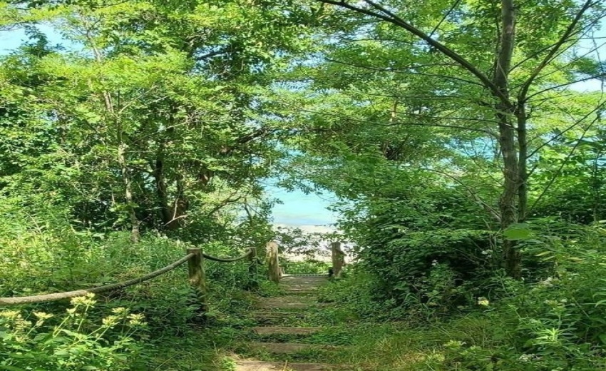 Footpath to the beach