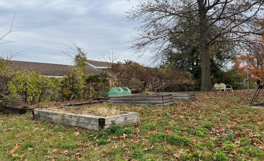 Yard