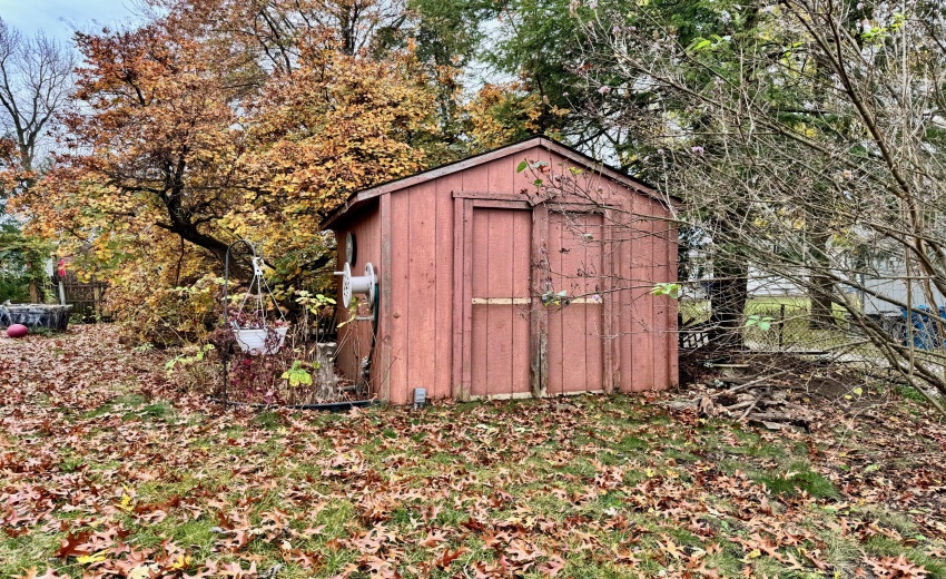 Shed