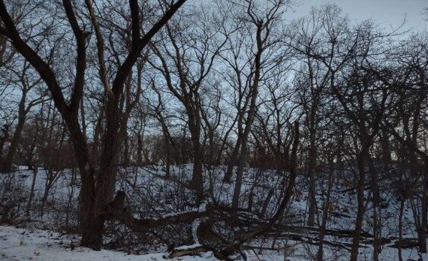 image000005(2)