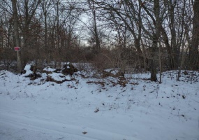 7411 Ash Avenue, Gary, Indiana, ,Land,For Sale,Ash,NRA815140