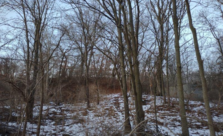 image000003004