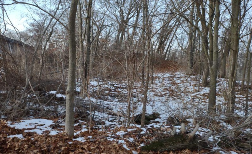 image000007004