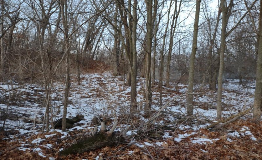 image000006004