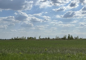 W 600S & S 125W, Brook, Indiana, ,Land,For Sale,S 125W,NRA815217