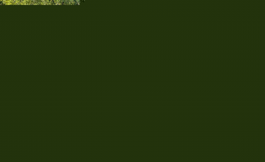 34-web-or-mls-DJI_20240926131523_0989_D