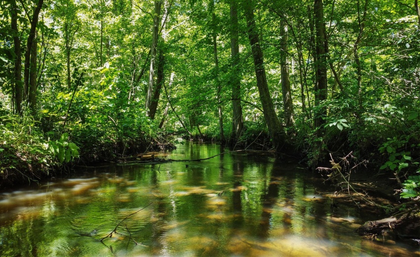 35-web-or-mls-DJI_0588