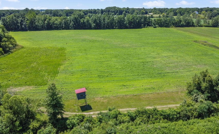 42-web-or-mls-DJI_0611