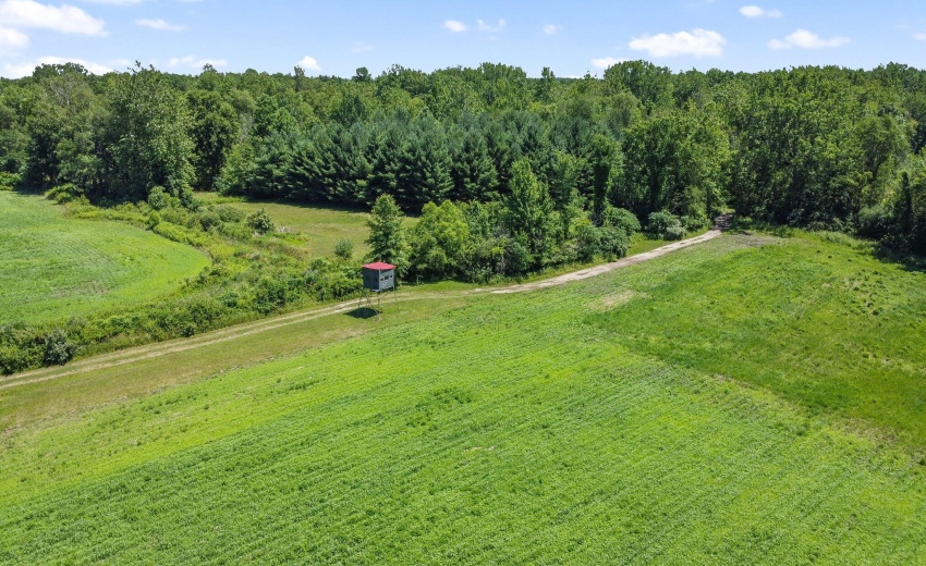 41-web-or-mls-DJI_0608