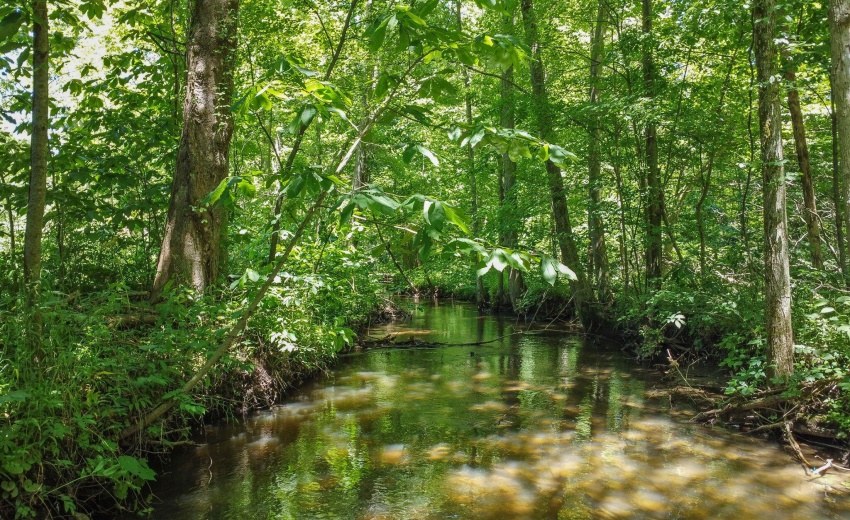 38-web-or-mls-DJI_0599