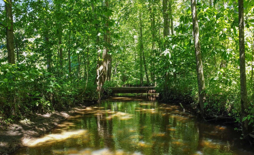 37-web-or-mls-DJI_0596