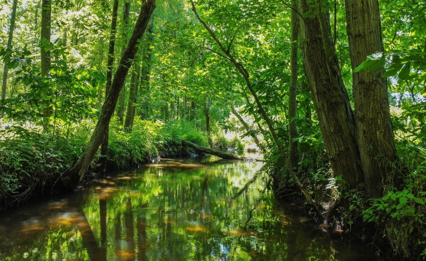 36-web-or-mls-DJI_0593