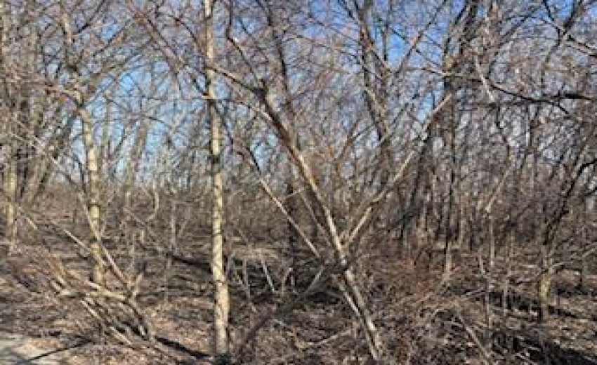 50E374CF-F4E5-4ACD-8F73-224722DB7BF9