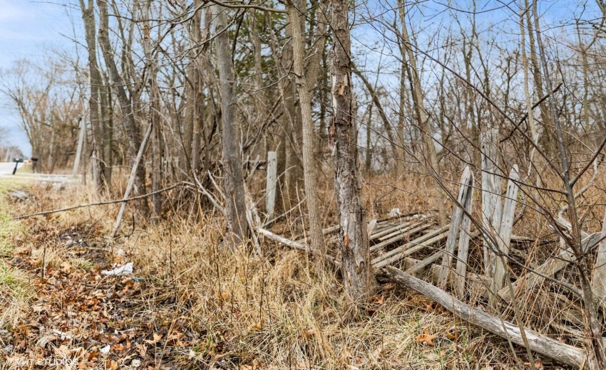 2_8317AUSTIN_2011_Large