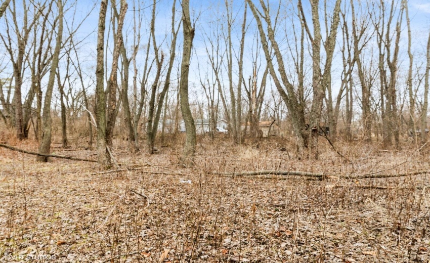 4_8317AUSTIN_2022_Large