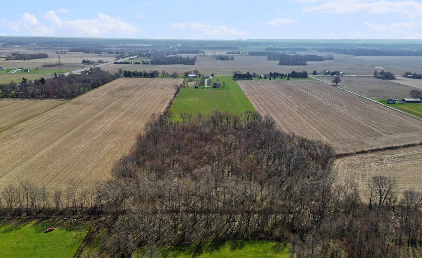 9-web-or-mls-DJI_0263