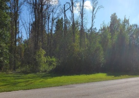 3029 Nelson Lane, Wheatfield, Indiana, ,Land,For Sale,Nelson,NRA819365