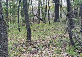 10411 Cynthia Lane, Wheatfield, Indiana, ,Land,For Sale,Cynthia,NRA819383