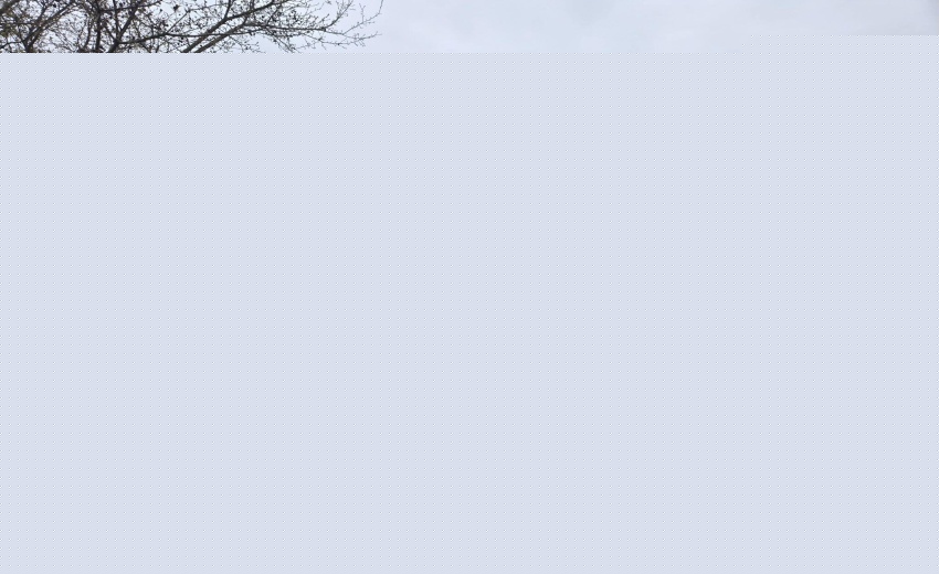 1000006882