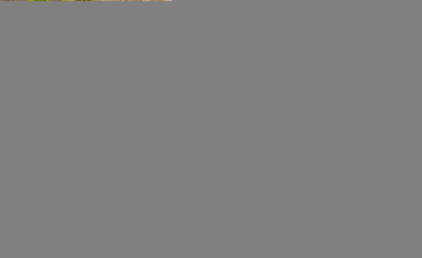 4-print-DJI_20250508084930_0771_D
