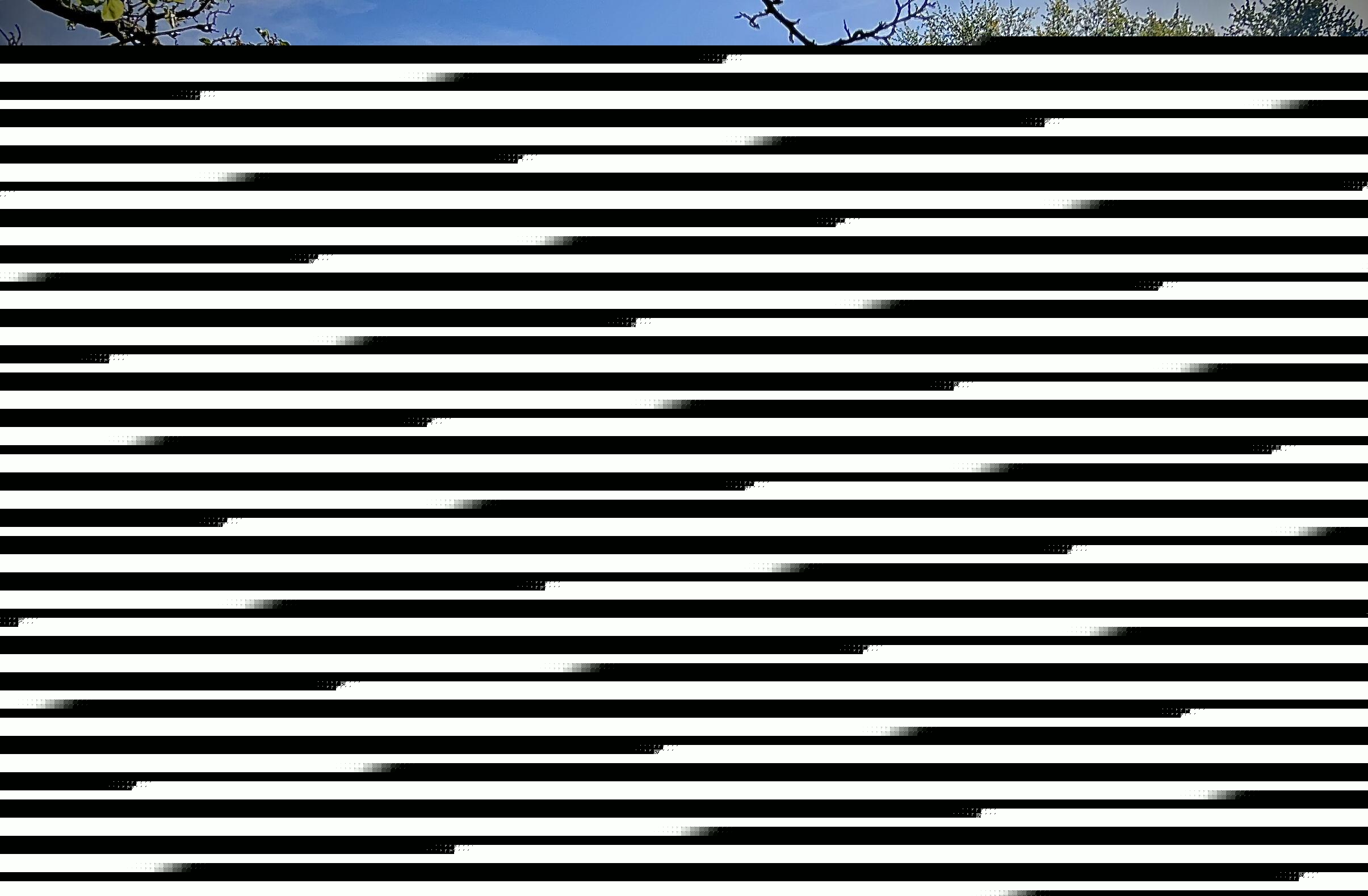 Screenshot 2025-05-11 at 9.43.58PM
