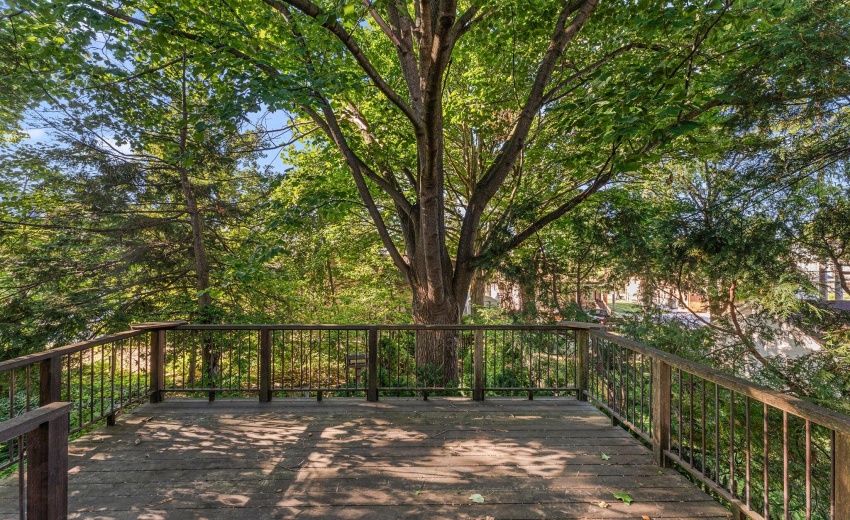 32-web-or-mls-DSC06463