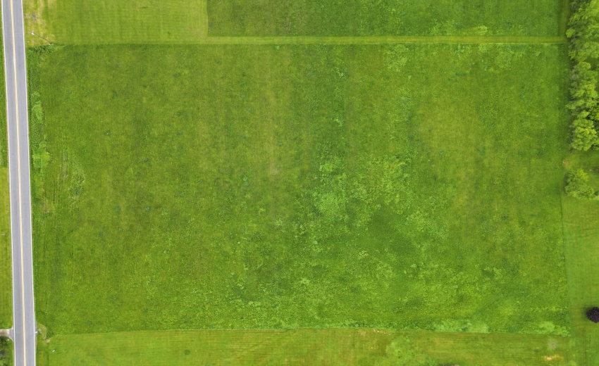 DJI_0894