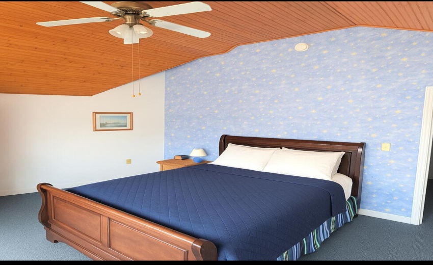 Bedroom with vaulted ceiling