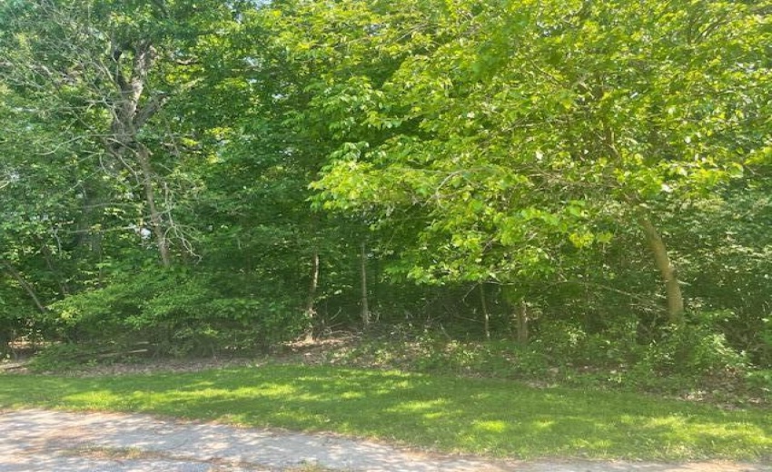image0 (7)