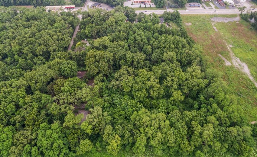 12-web-or-mls-DJI_0327