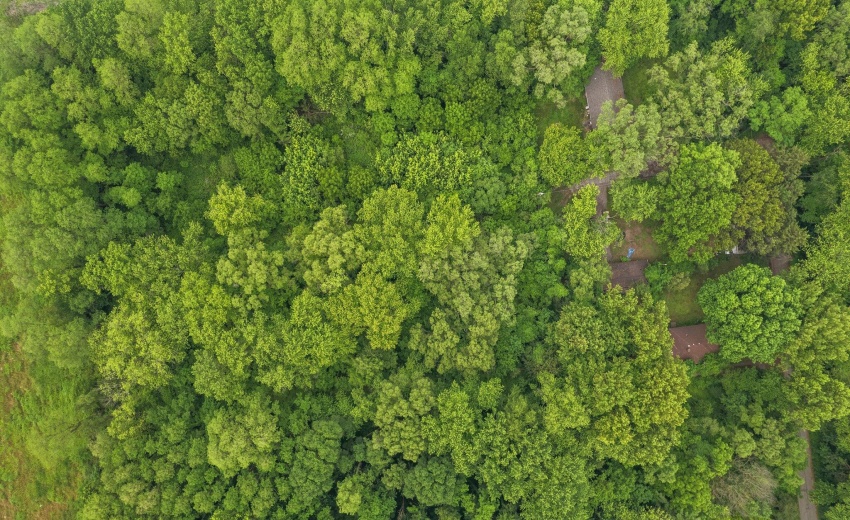 4-web-or-mls-DJI_0319