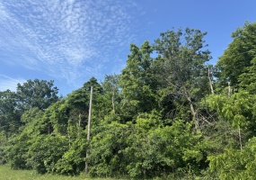 Vacant Land Us Highway 41, Lake Village, Indiana, ,Land,For Sale,Us Highway 41,NRA823021